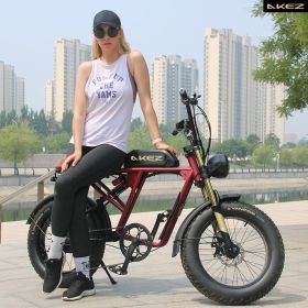 AKEZ S2 750W 48V 20 Inch Flat Tire Electirc Bicycle (BATTERY: 13AH, Color: Red)